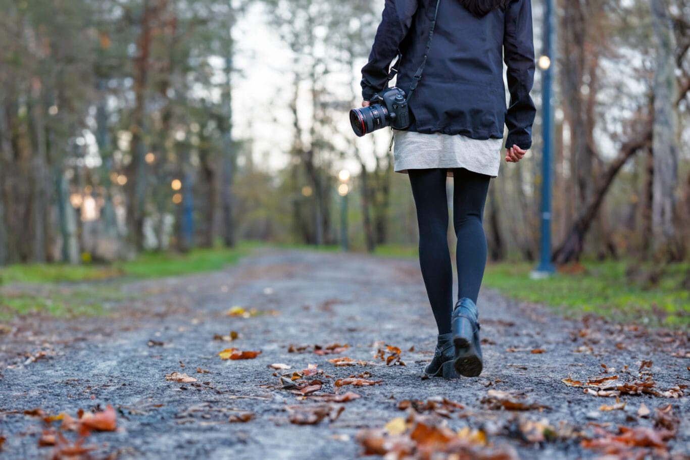 Balade Photographique – Découverte du Parc de la Gatineau